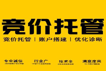 谷歌SEM广告投放的预算分配策略：如何实现最大化的投资回报